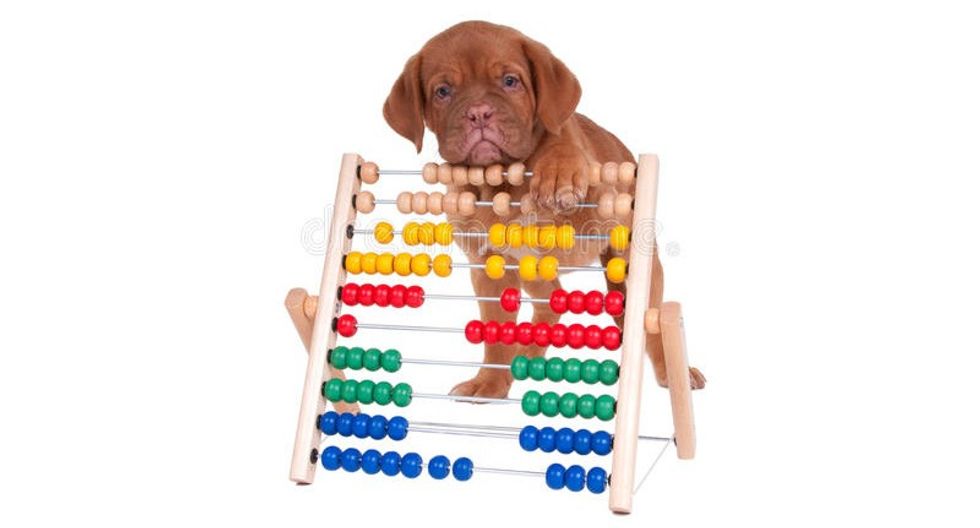 puppy counting 17076510 edited