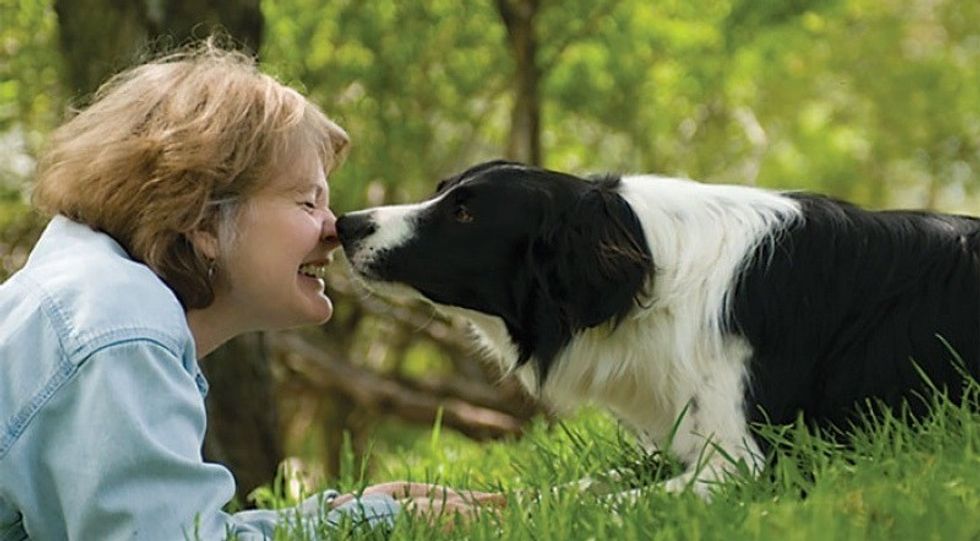 qa patriciamcconnell