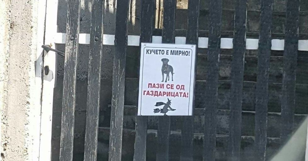 ''Qeni është i qetë, kujdes pronaren'' 1