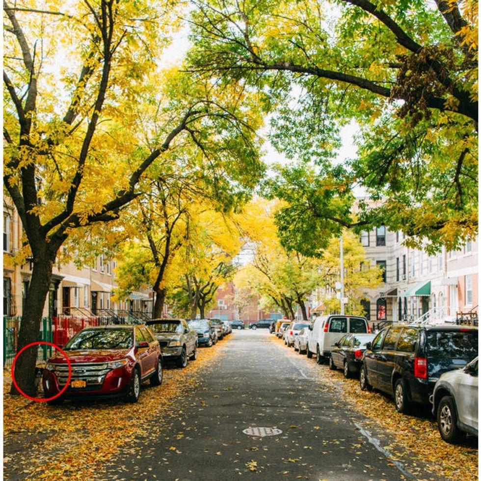Qeni që e adhuron lojën fshehtas eshte veshtire te gjendet ne keto fotografi foto 10