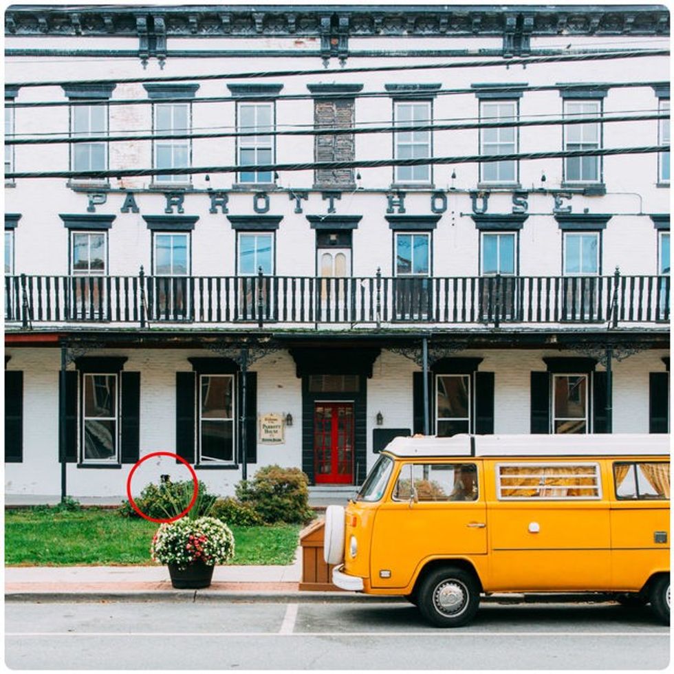 Qeni që e adhuron lojën fshehtas eshte veshtire te gjendet ne keto fotografi foto 11