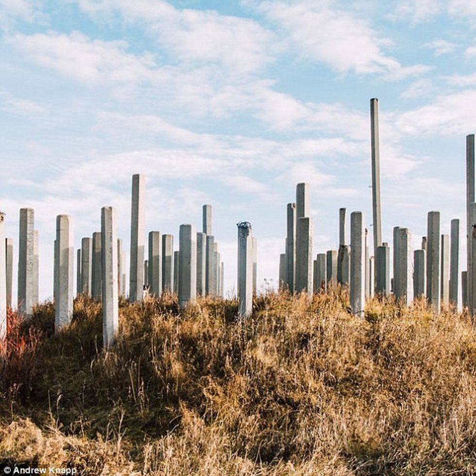 Qeni që e adhuron lojën fshehtas eshte veshtire te gjendet ne keto fotografi foto 4