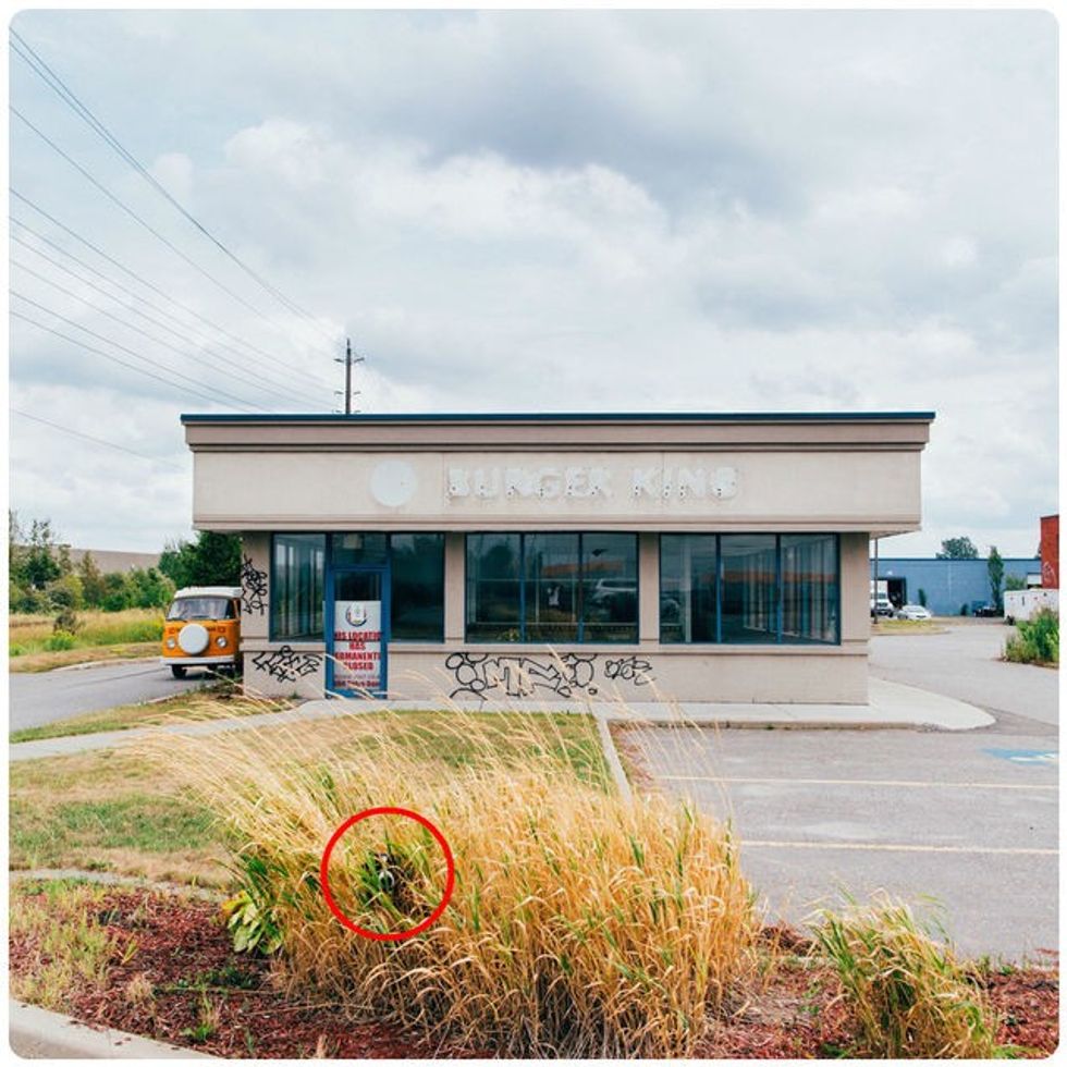 Qeni që e adhuron lojën fshehtas eshte veshtire te gjendet ne keto fotografi foto 7