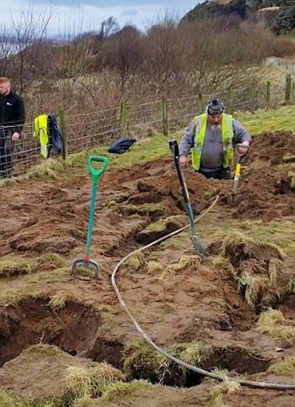 Qeni që ngeci në vrimën e lepurit për nëntë ditë doli fal humbjes se peshes foto 2