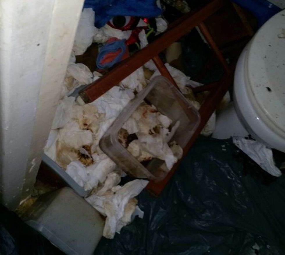 Qiraxhinjtë e kthyen banesën në tmerr foto 4