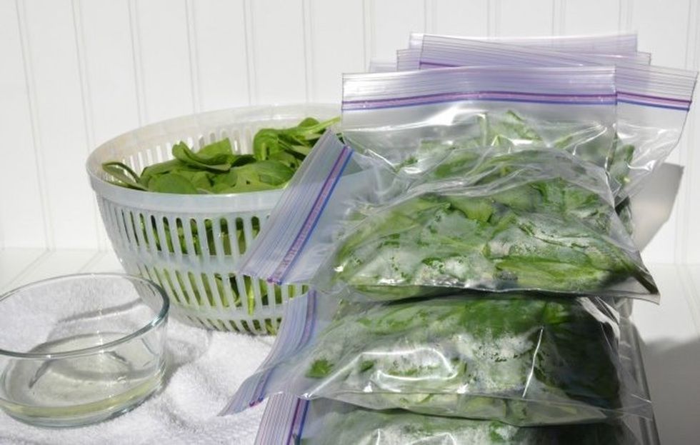 Quick And Easy Way To Freeze Fresh Spinach 1