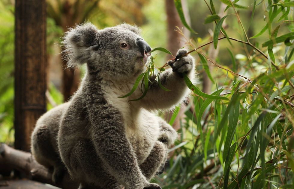 r218 210 4549 3003 w4968 h3204 fmax scaled