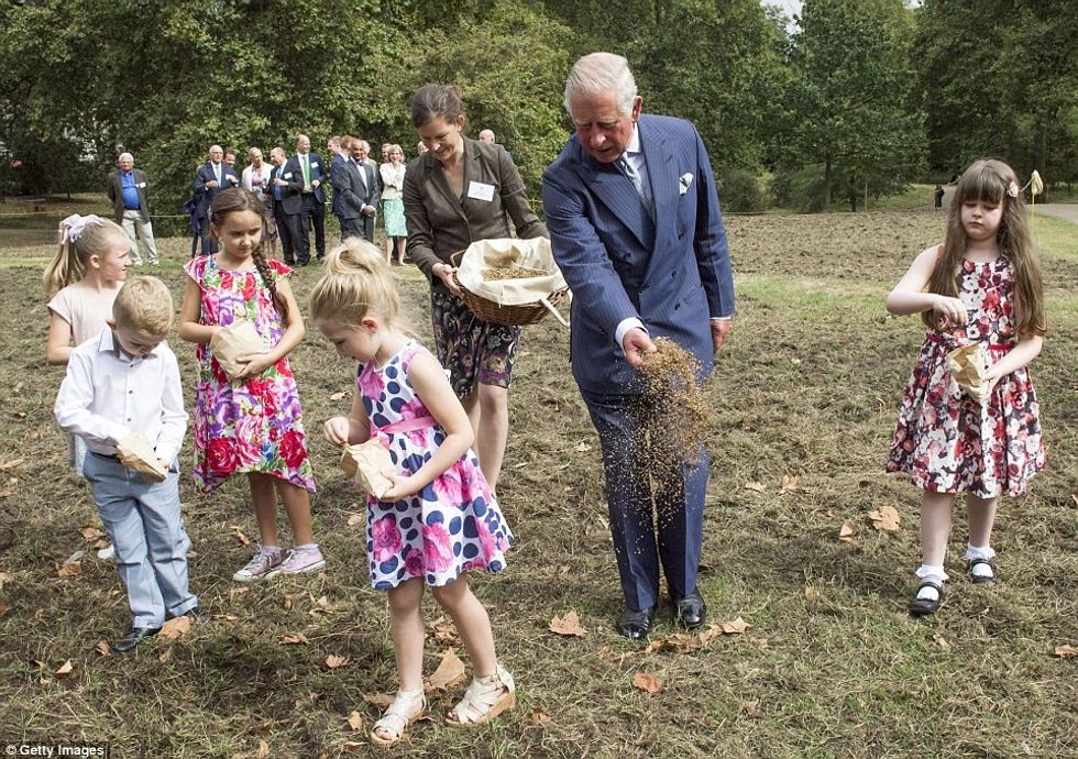 Reagimi i vrapuesve që kaluan pranë princit foto 5