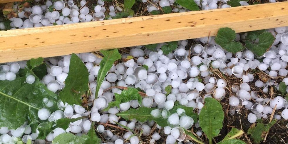 received 294733142405116 1