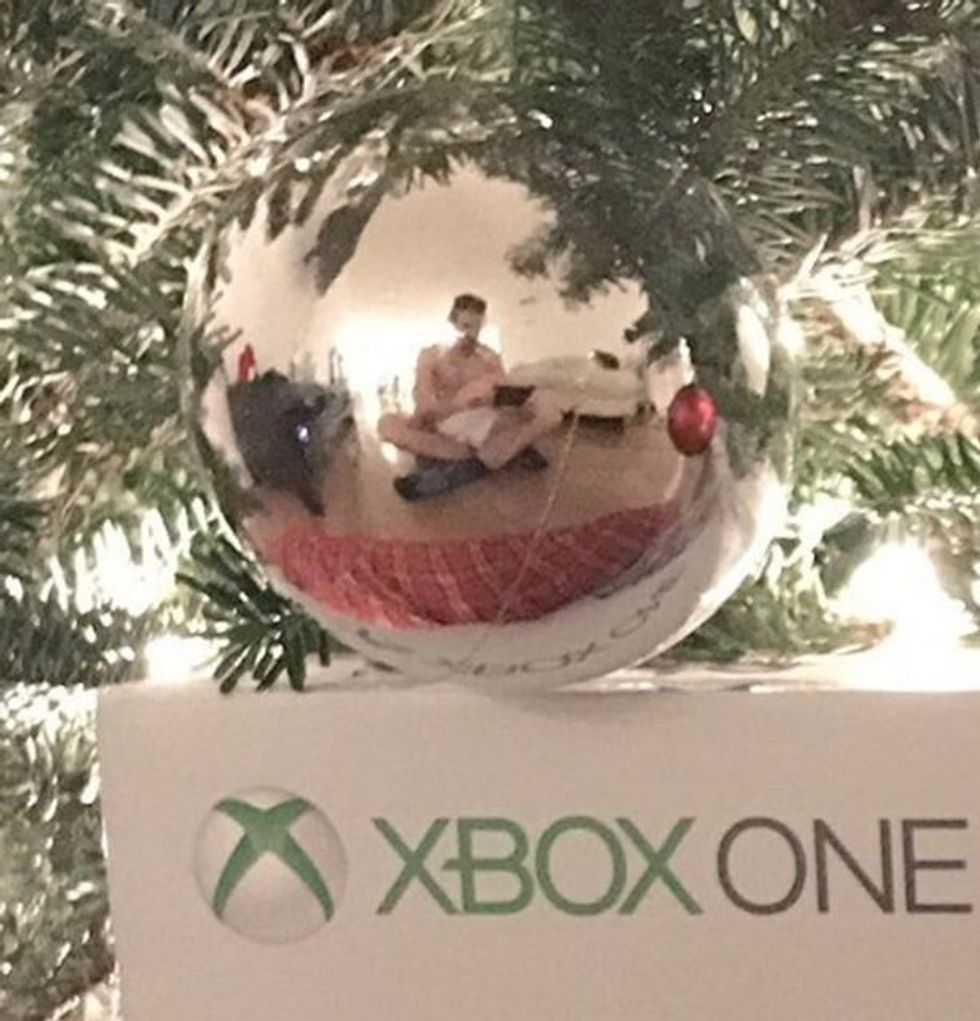 Reflektimi i topit të bredhit zbuloi diçka te ndyte per ate qe ndodhej perpara foto 3