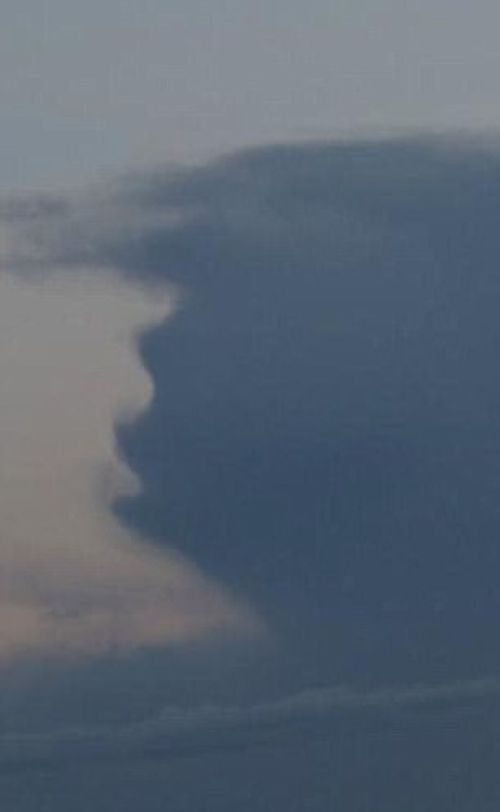 Reja e çuditshme që ngjanë me presidentin Trump foto 3