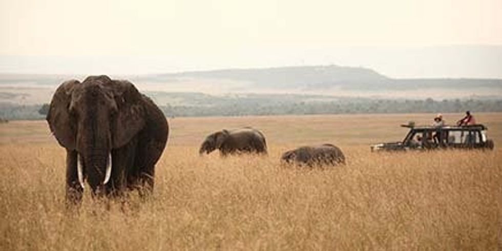 Rekero Camp Feature Image 436X218