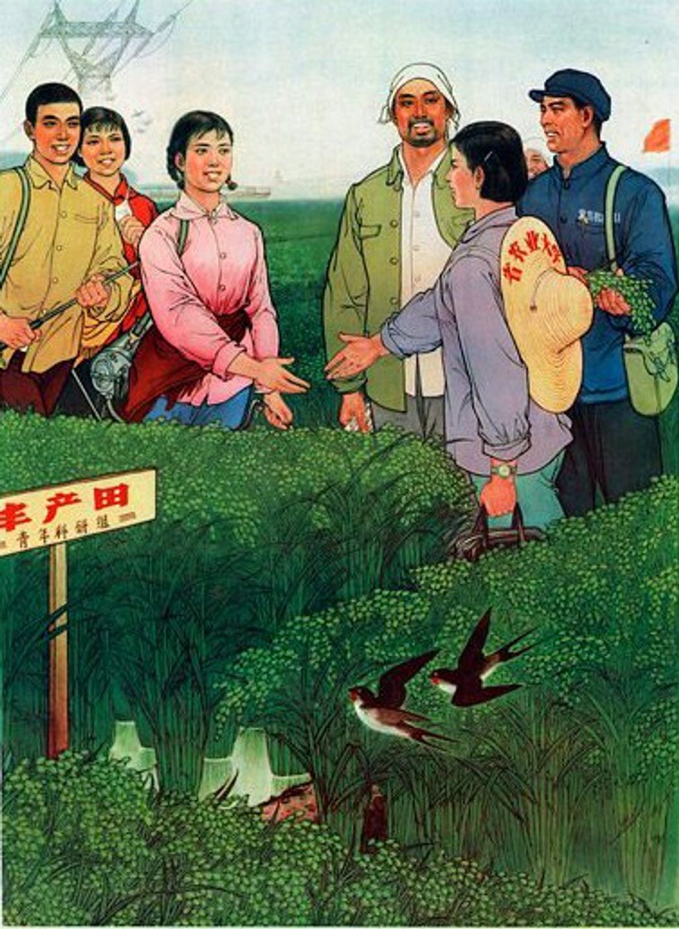 Revolucioni Kulturor 07