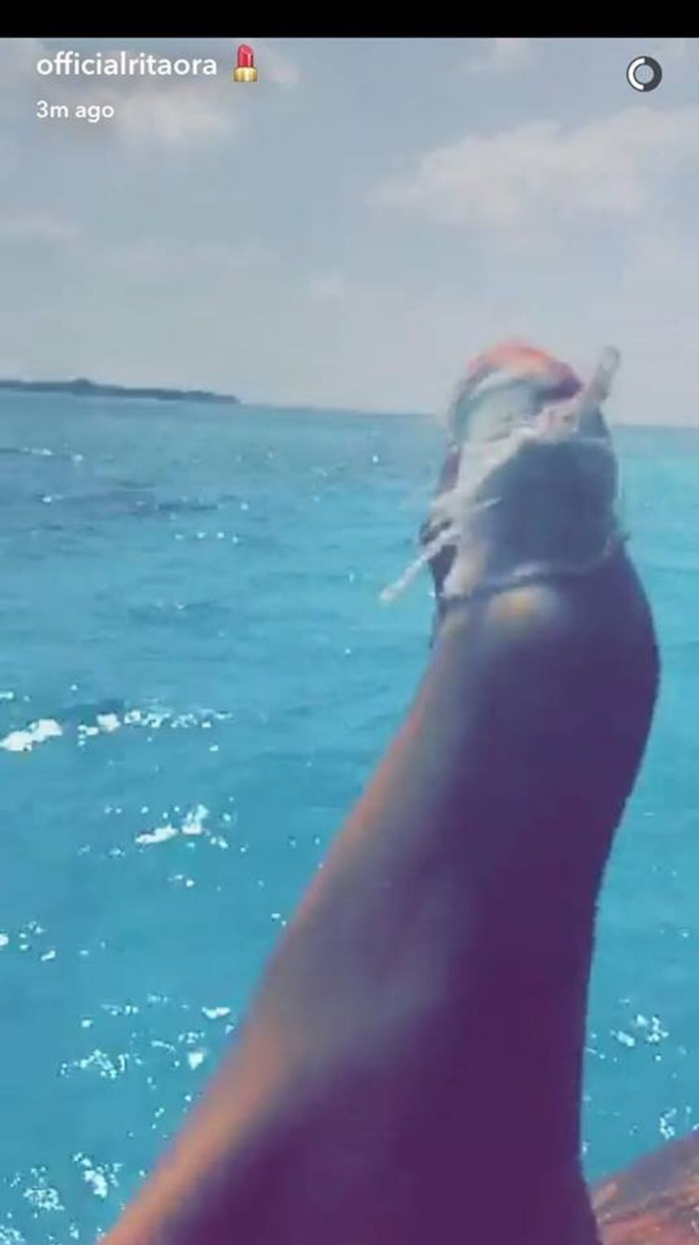 rita 2 2