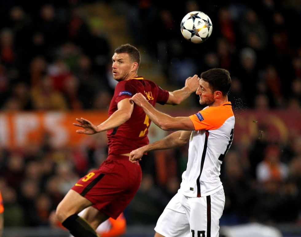 romashakhtar 1