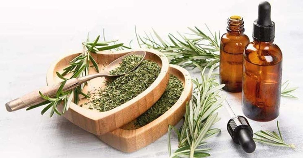 rosemary ageing alzheimers min 1