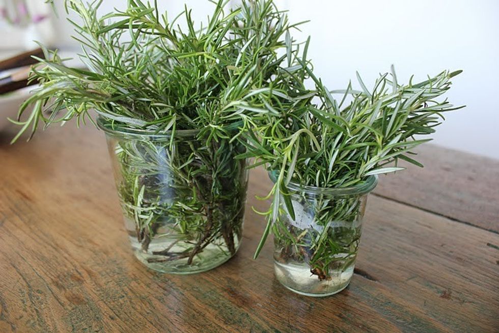 rosemary jars