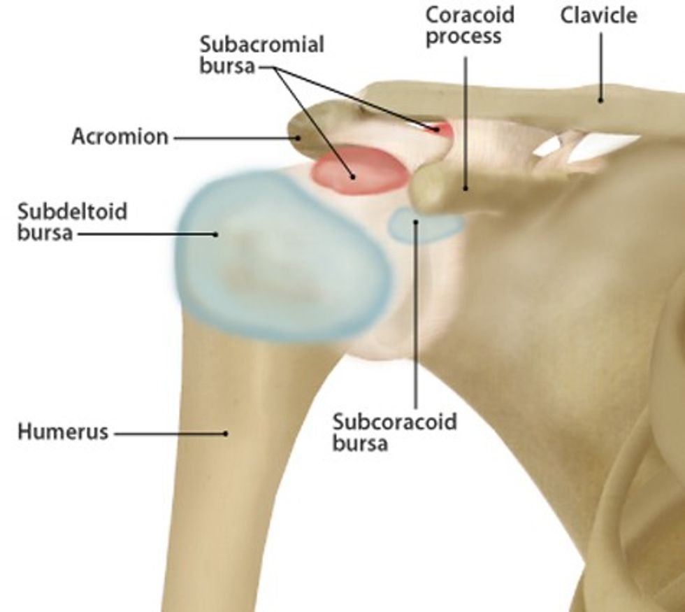 rotator cuff bursitis(1)