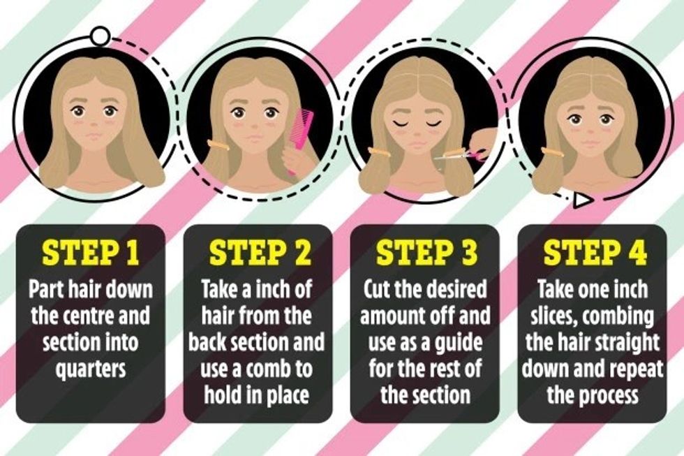 RR GRAPHIC HOWTOCUTHAIR v1 1