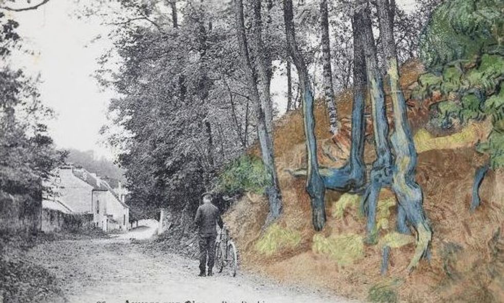 Rrenjet 01 e1597146833420