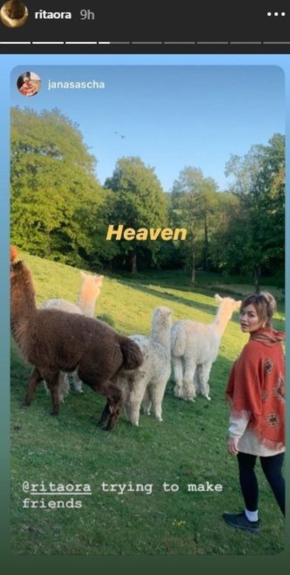 rrit1 e1589526234452