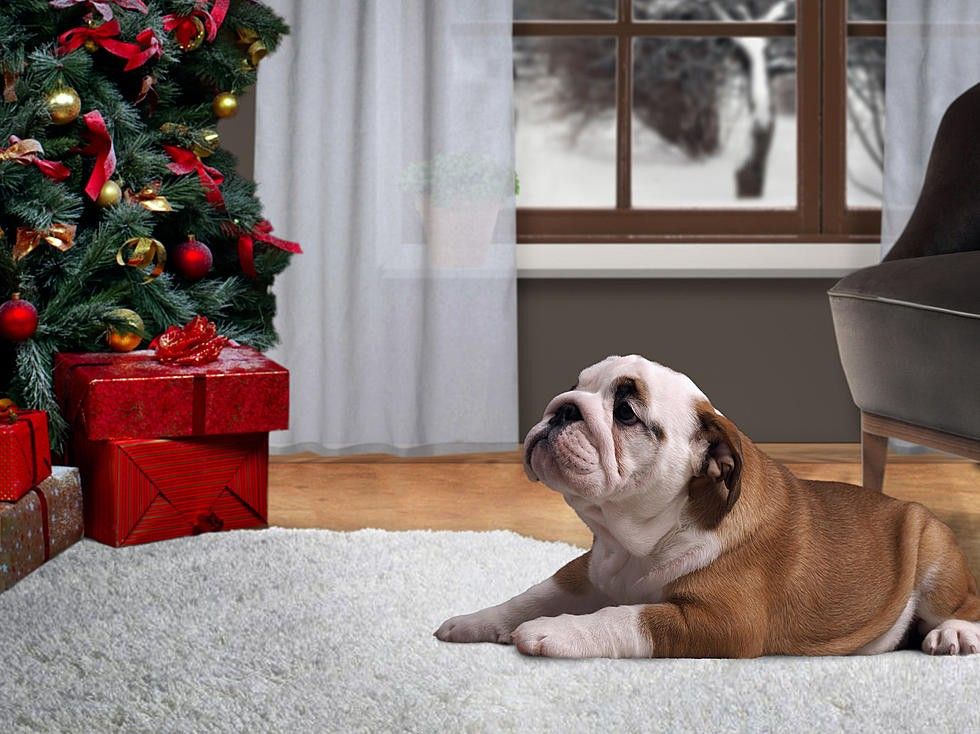 RS28305 ThinkstockPhotos 621127490 scr