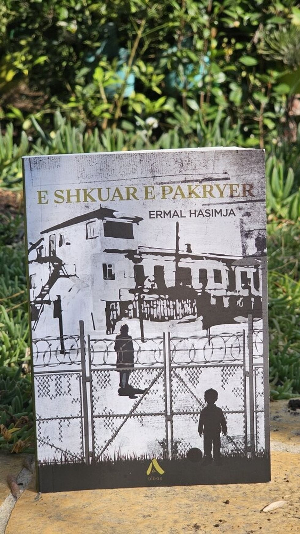 rsz 1copy of 20241030 095028