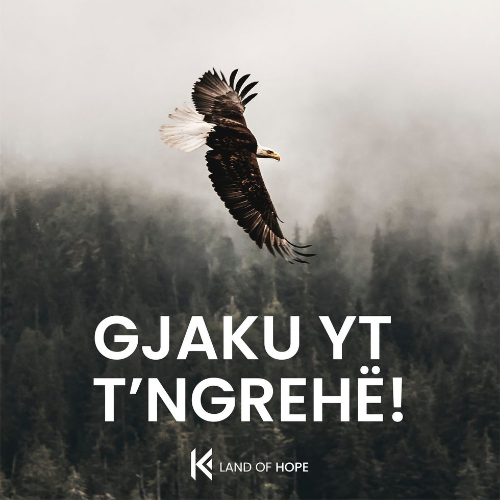 rsz gjaku yt tngrehe foto qe duhen vendosur brenda contentit
