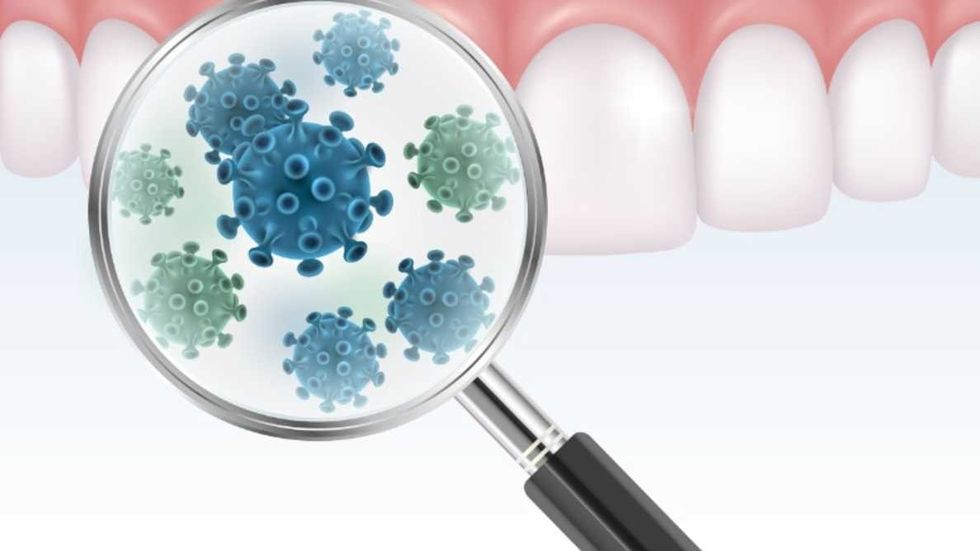 SARS Cov 2 virus might enter lungs through gums experts say 780 x 439