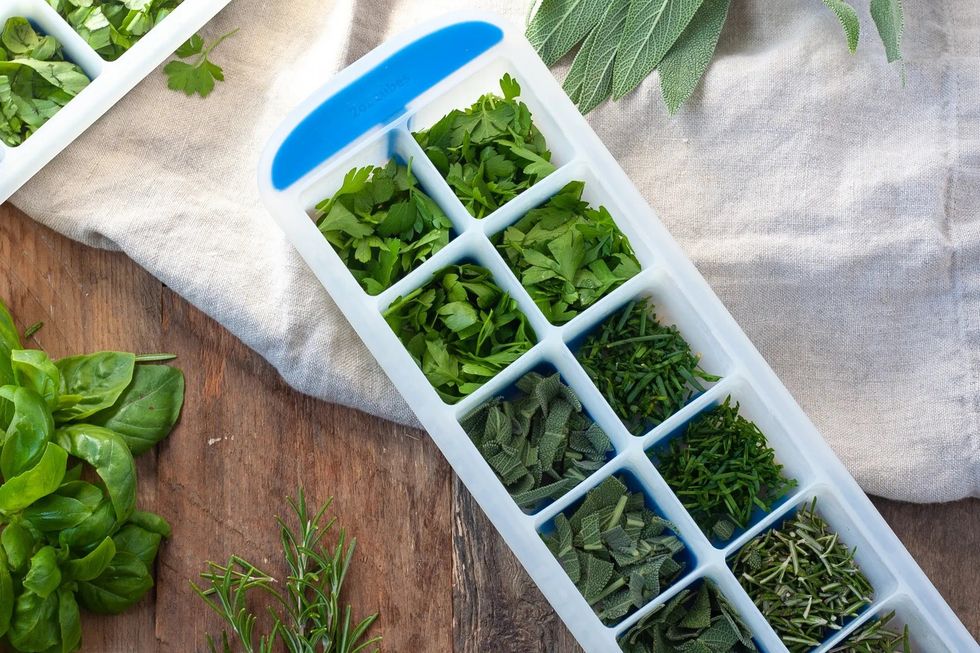 save fresh herbs in ice cube tray wide