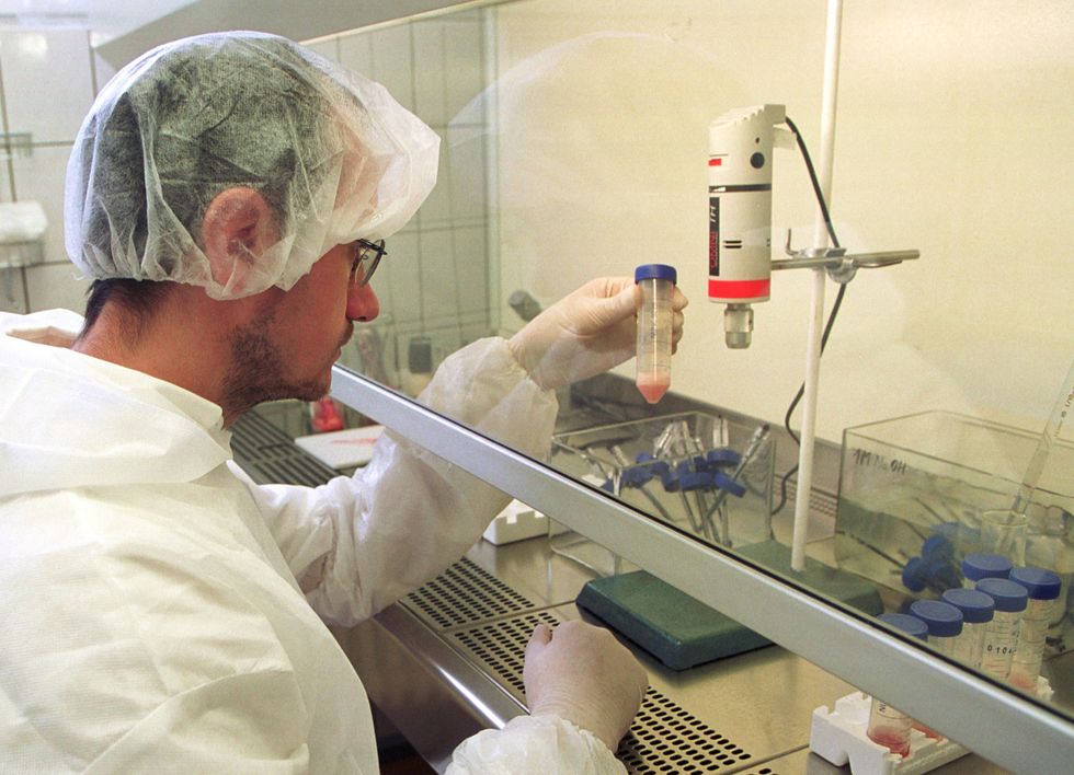 scientist study brain parasite