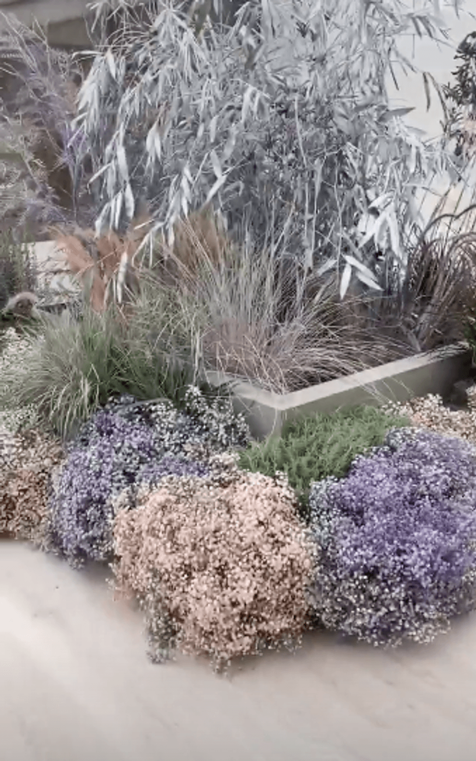 screen shot 2020 07 01 at 12 37 59 1593603894