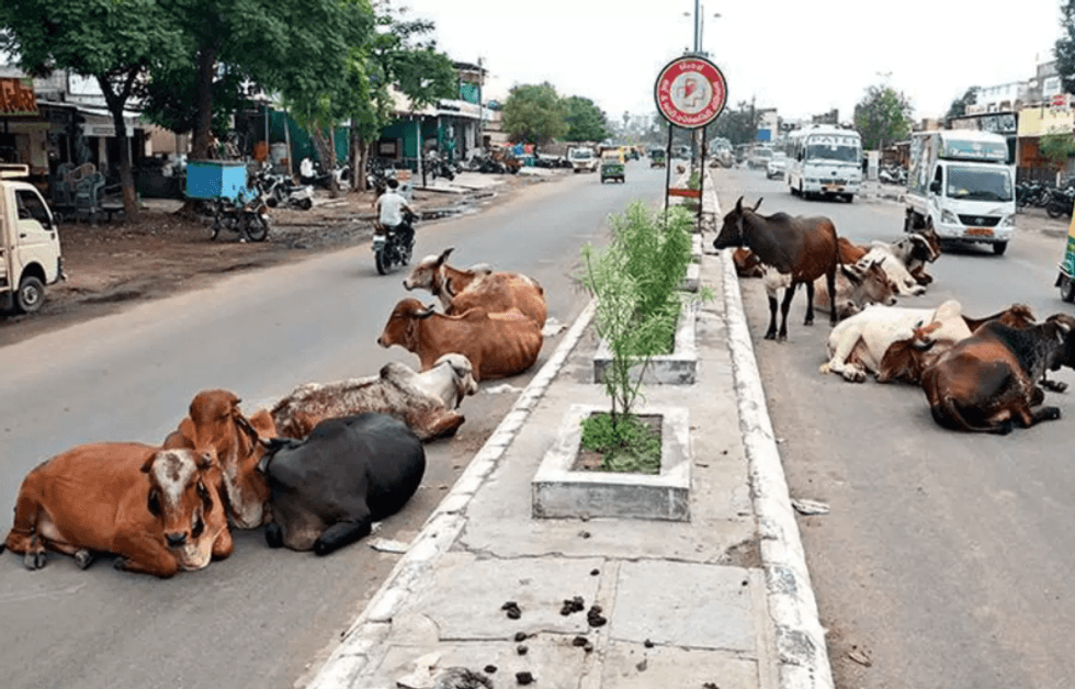 Screenshot 1 103 e1643149783786