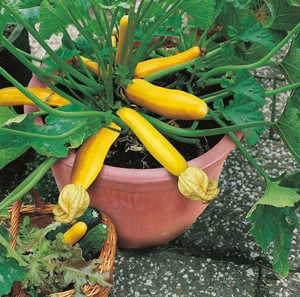 Screenshot 1 79 e1650617580912