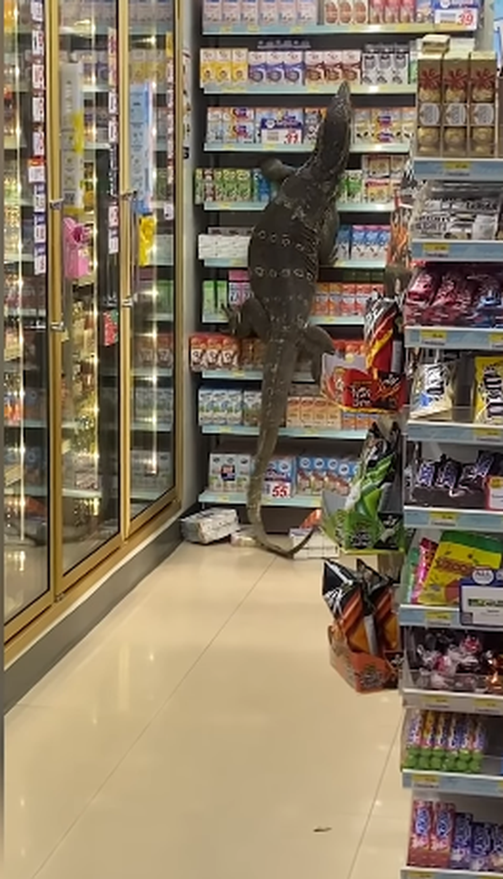 screenshot 1 dCx1s4O