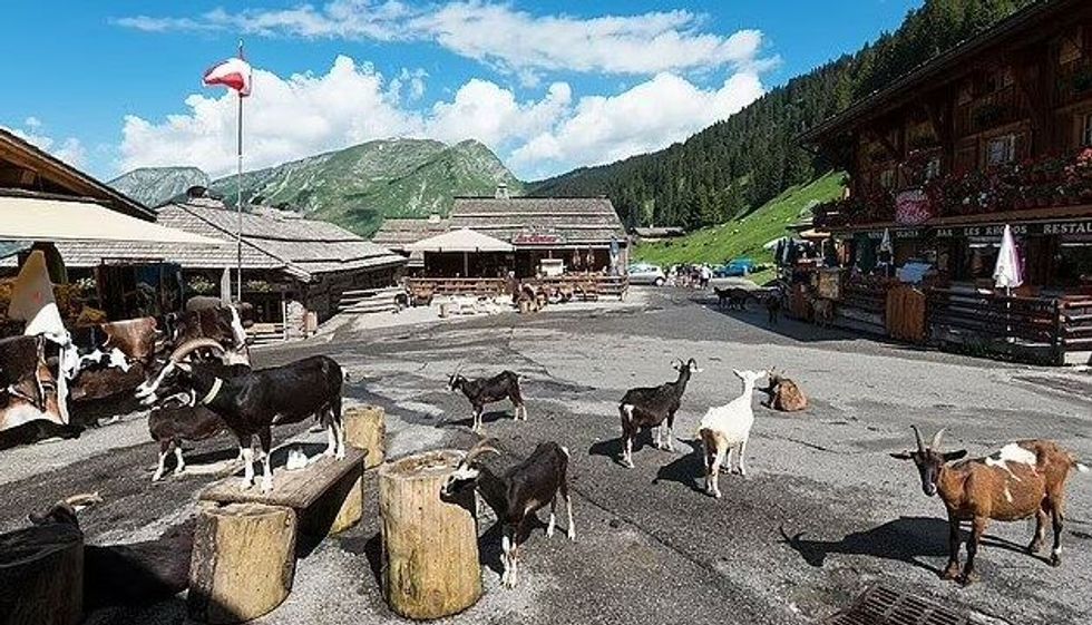 Screenshot 2 74 e1724135687998