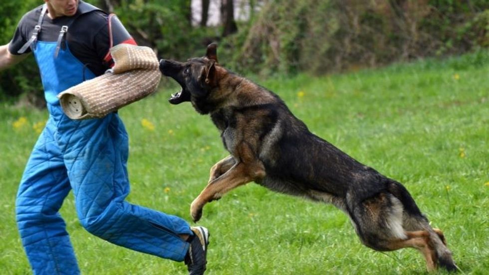 Screenshot 2 9 780 1