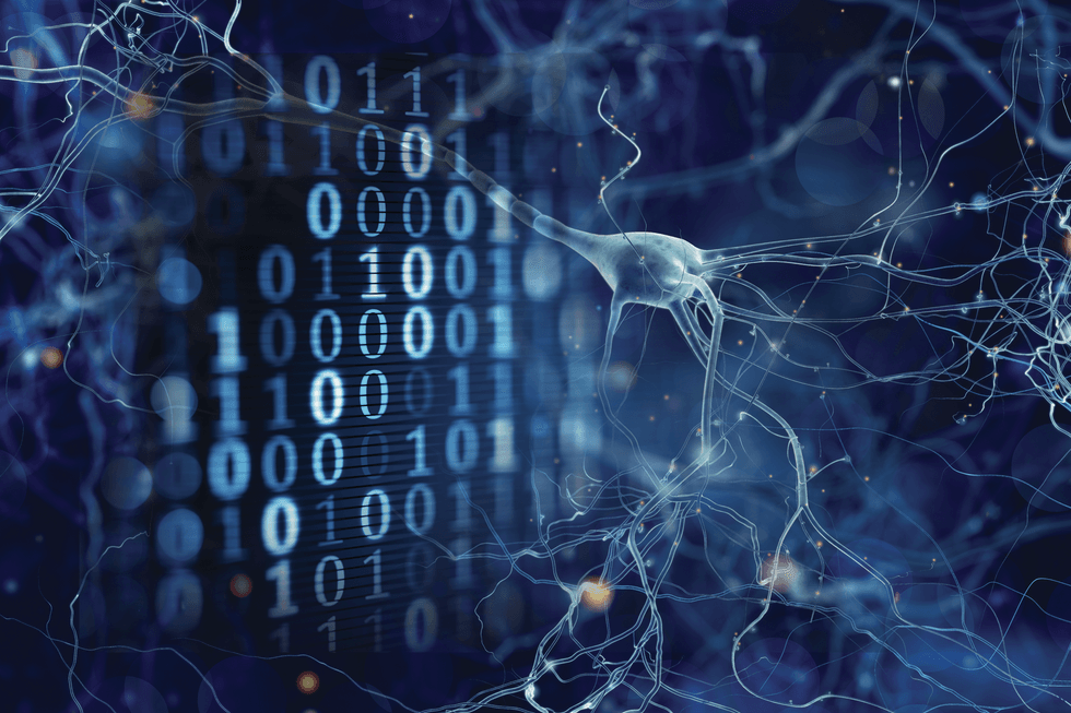 Screenshot 2021 02 24 at 14.16.37 e1614351075704