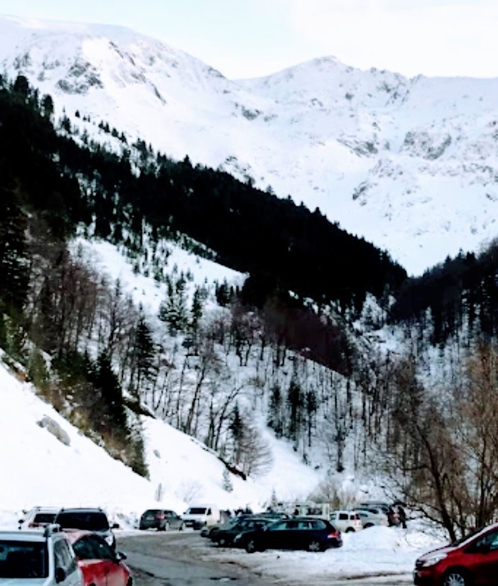 Screenshot 20220130 110838 Google 2