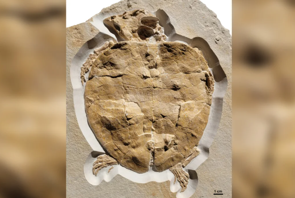 Screenshot 2023 07 30 212156