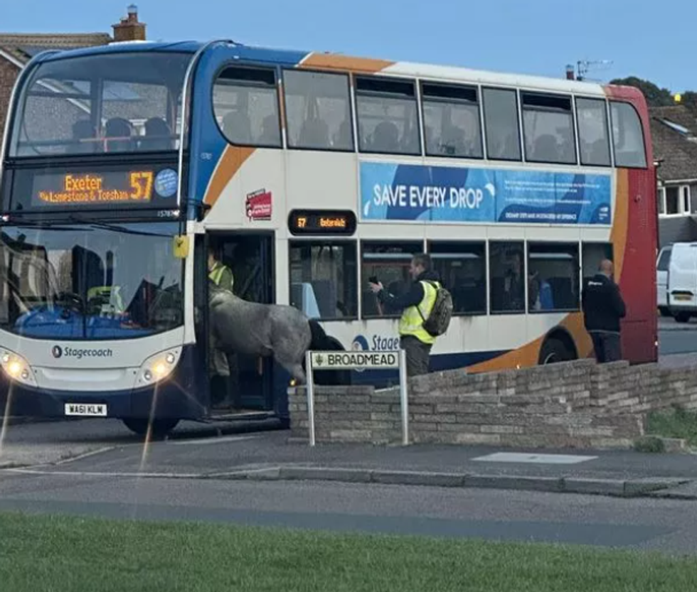 Screenshot 2023 09 01 192742