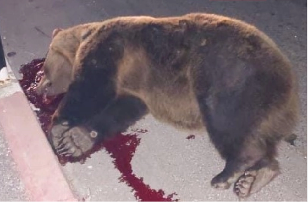 Screenshot 2023 10 06 120252