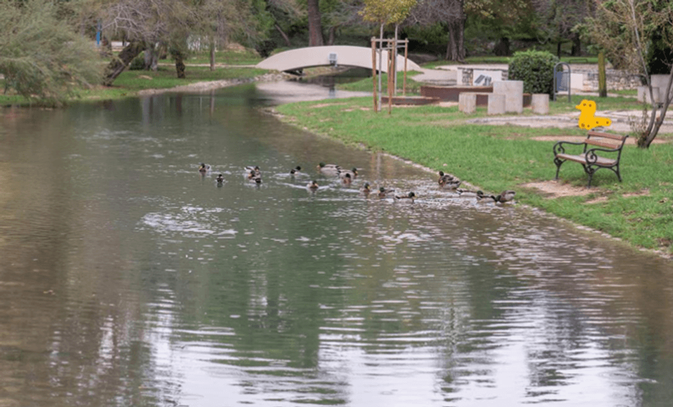 Screenshot 2023 11 05 163306