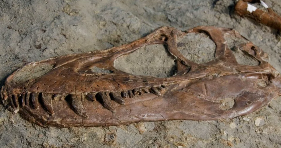 Screenshot 2023 12 09 082219