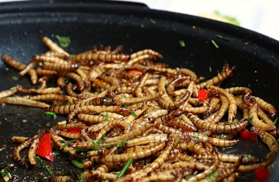 Screenshot 2024 07 05 163117