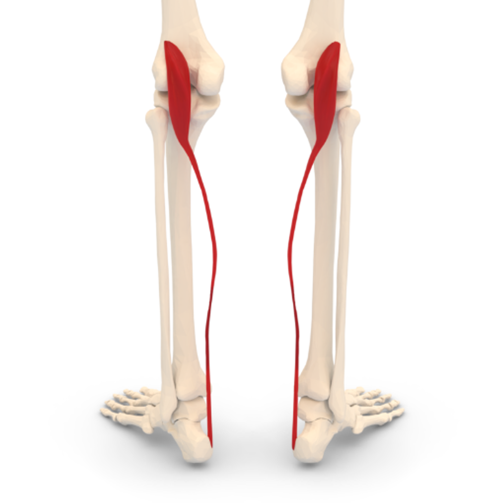 Screenshot 2024 08 23 193254