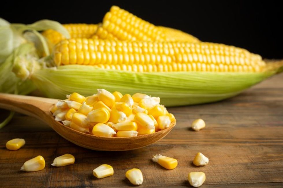 seeds sweet corn wooden table 1150 9483