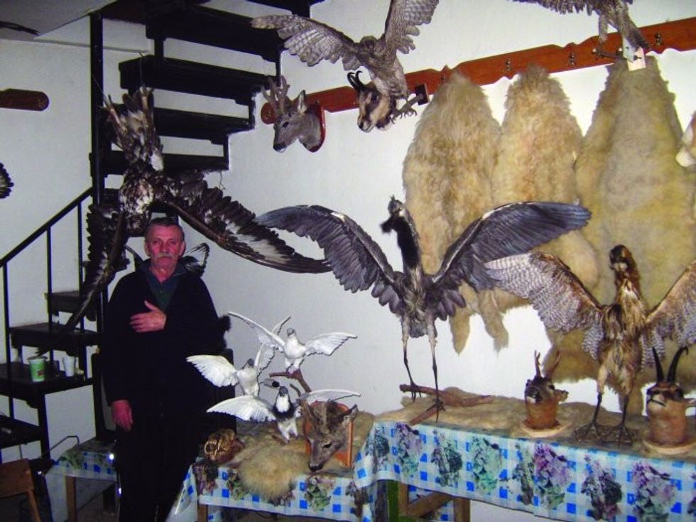 Selami_Grezda1471155433