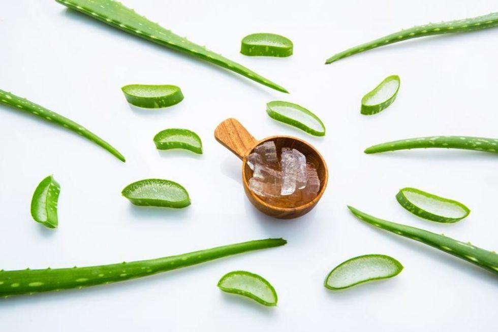 SetWidthWzk1MCxudWxsXQ aloe vera image