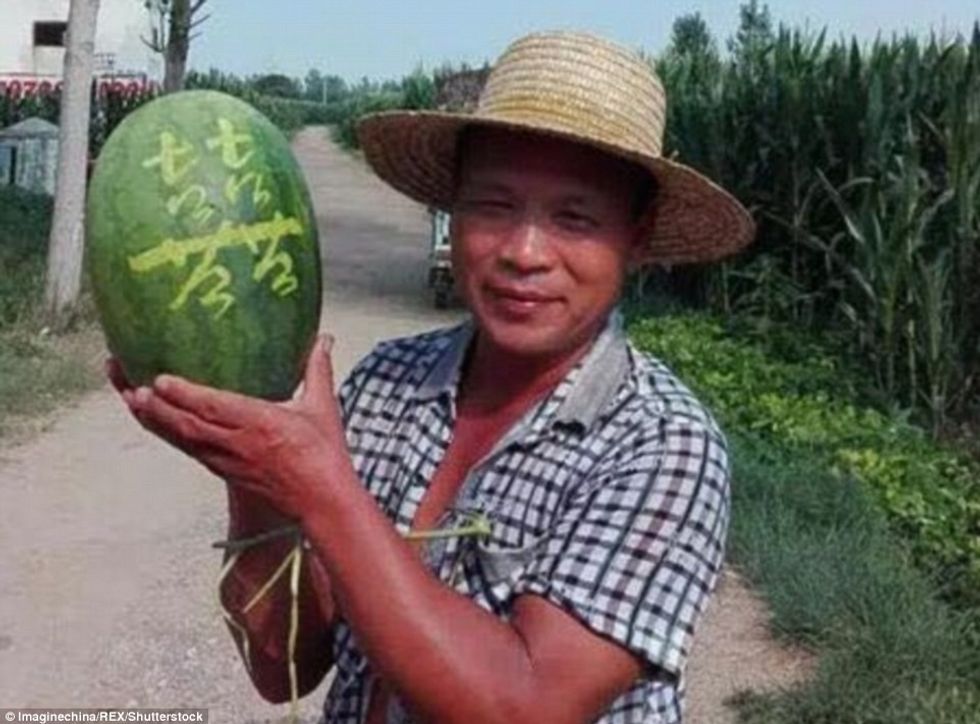 Shalqinjtë që nuk ia blinin i ktheu ne frute fati qe i shiti menjehere foto 4